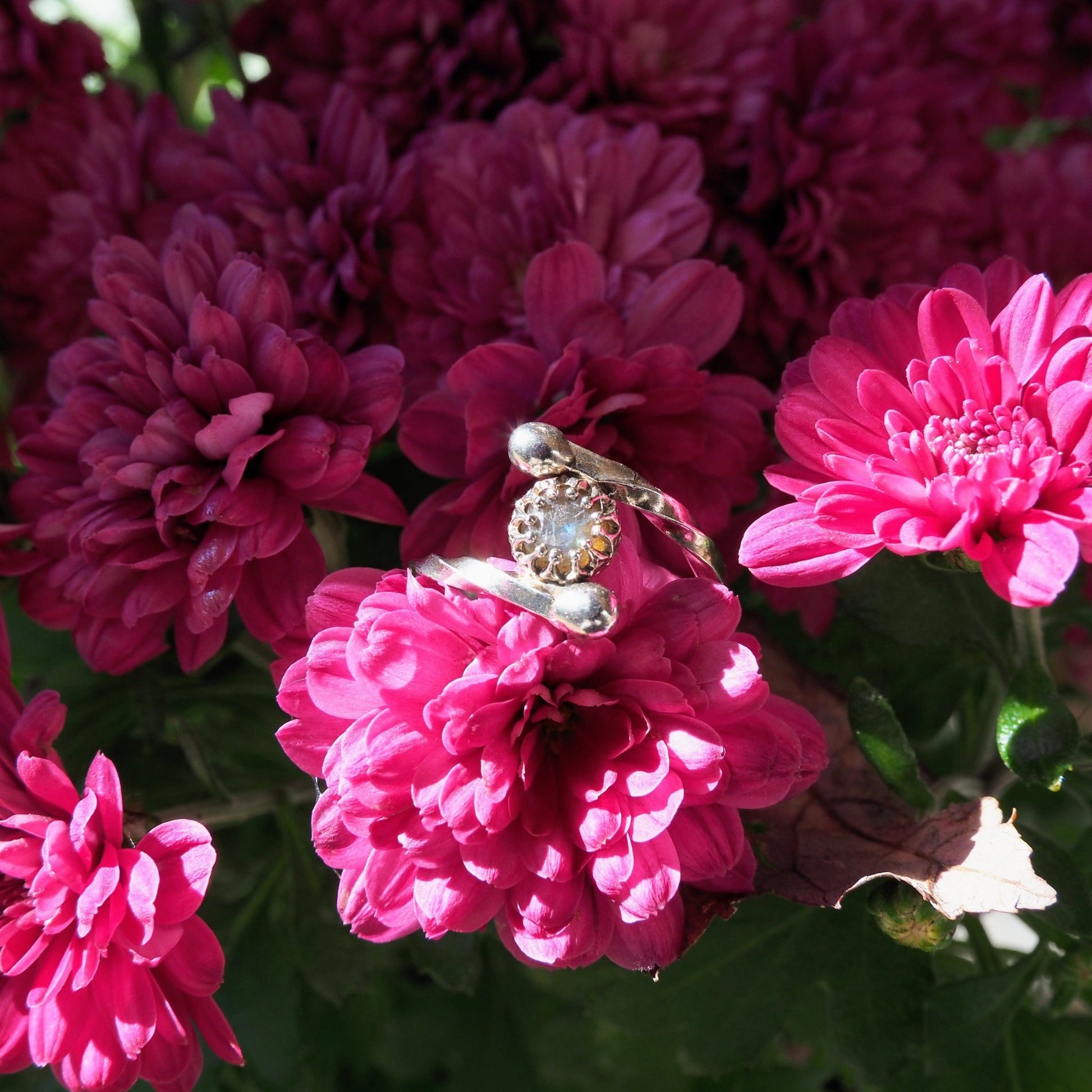 Labradorite Twist Ring - Mettle by Abby