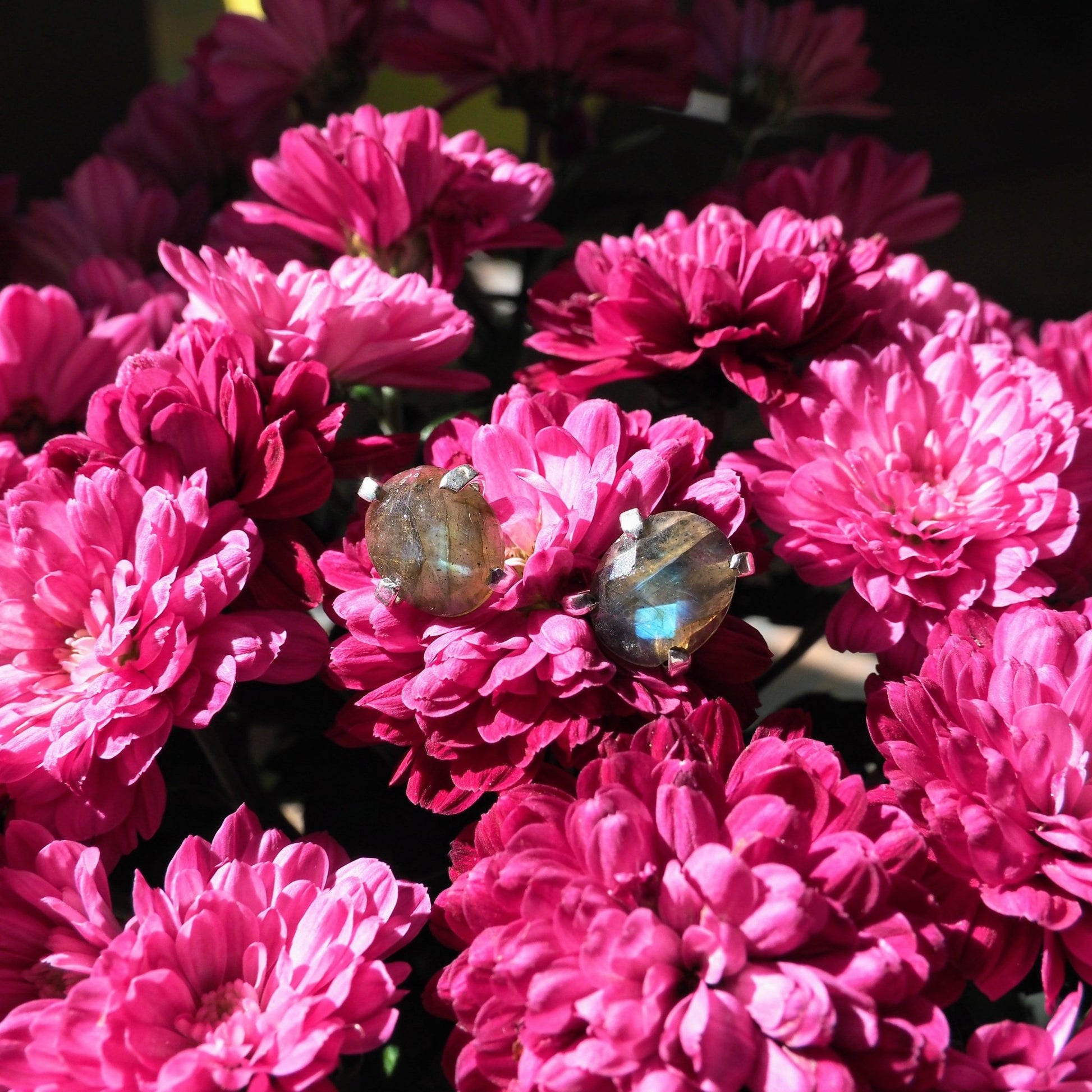 Rose Cut Labradorite Studs - Mettle by Abby