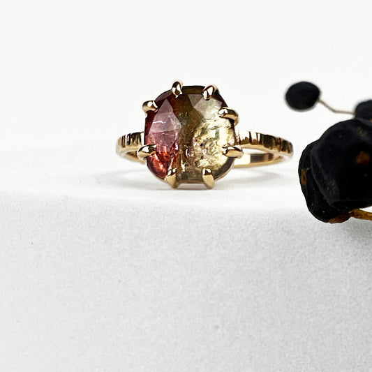 14k Yellow Watermelon Tourmaline Ring - Mettle by Abby