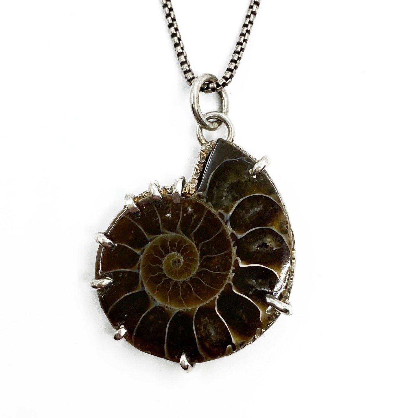 Ammonite Song Necklace