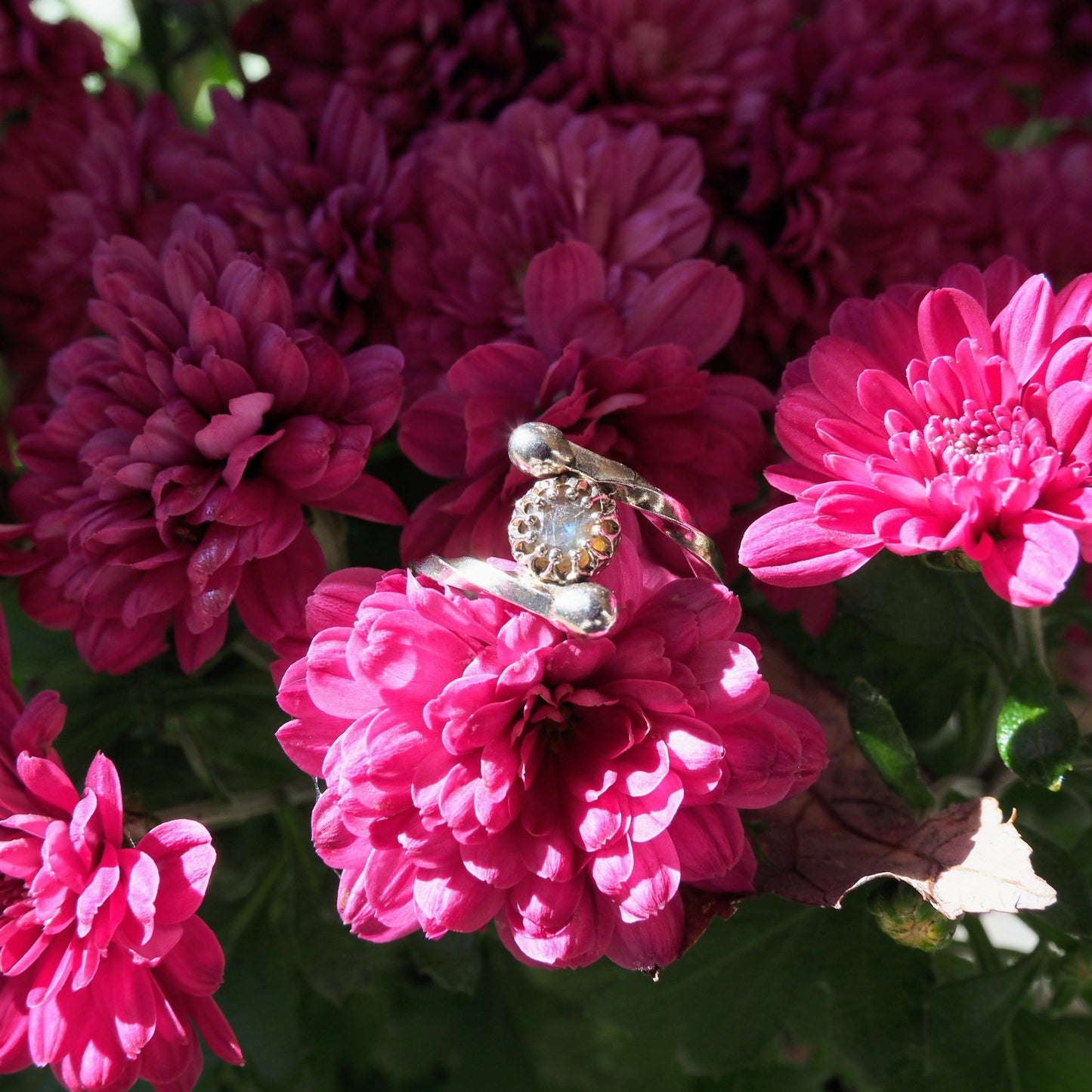 Labradorite Twist Ring - Mettle by Abby
