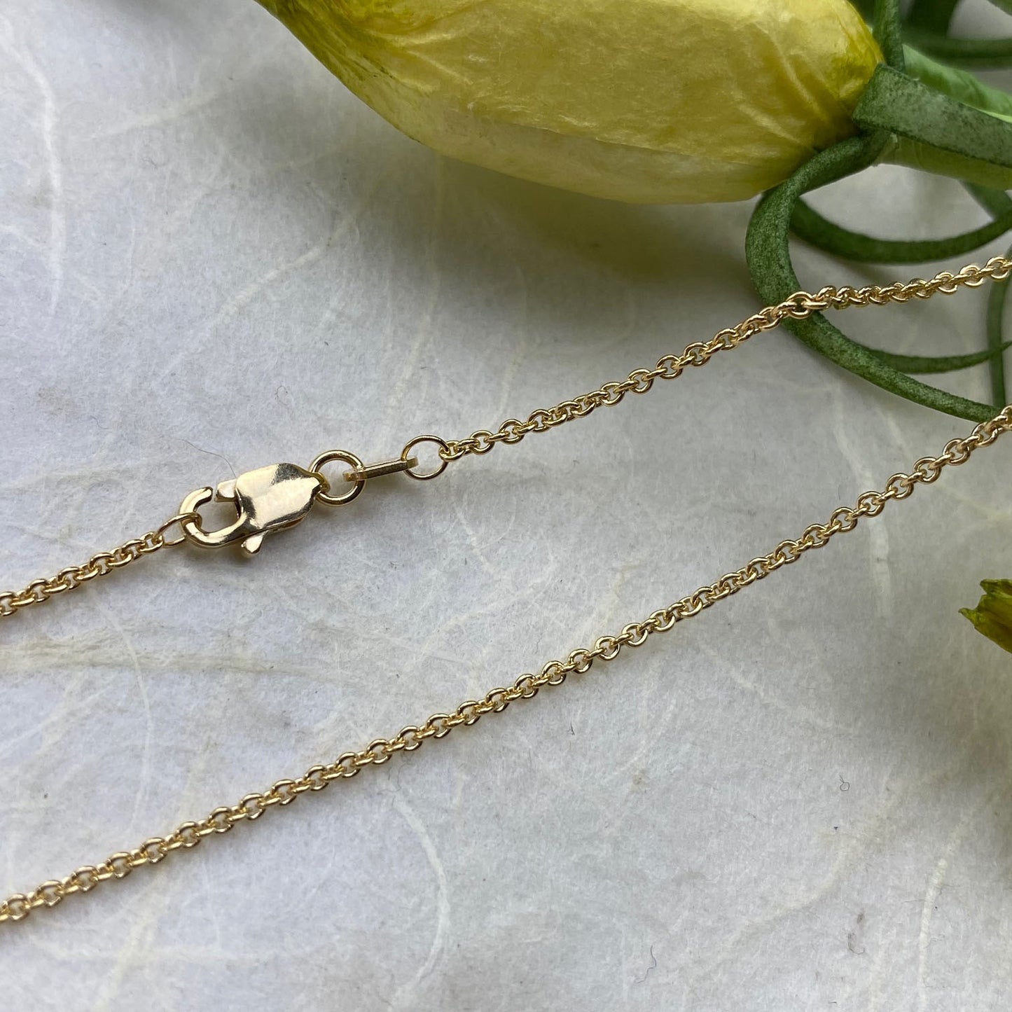 14k Yellow Gold Sturdy and Dainty Chain