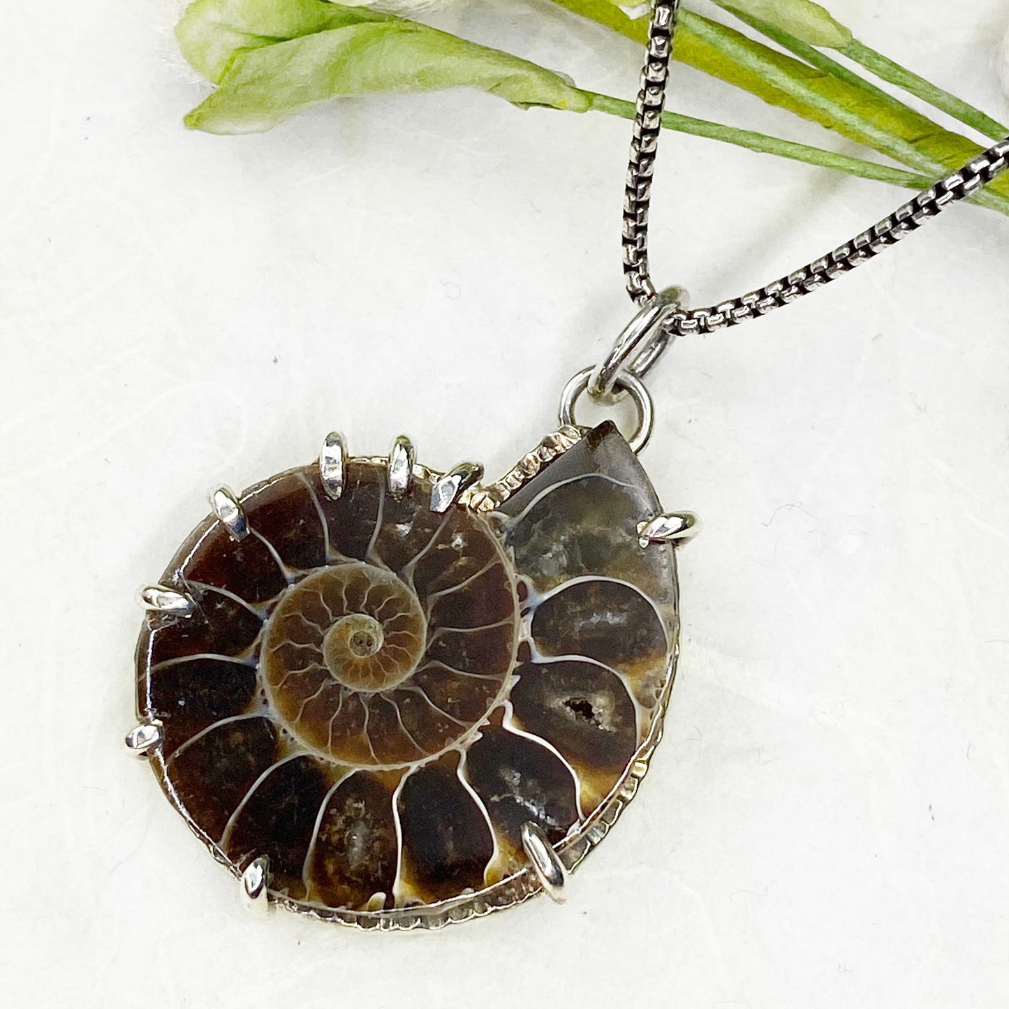 Ammonite Song Necklace